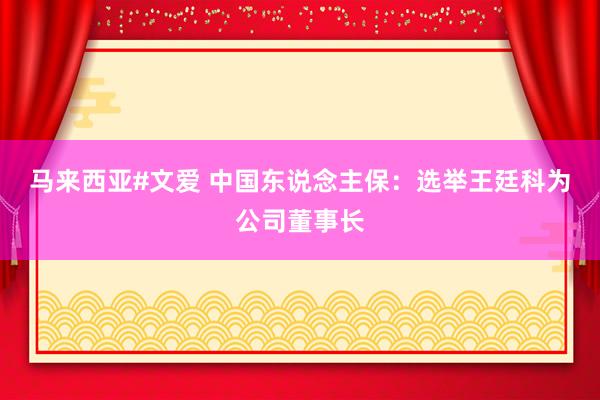 马来西亚#文爱 中国东说念主保：选举王廷科为公司董事长