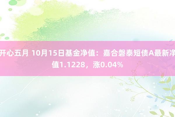 开心五月 10月15日基金净值：嘉合磐泰短债A最新净值1.1228，涨0.04%