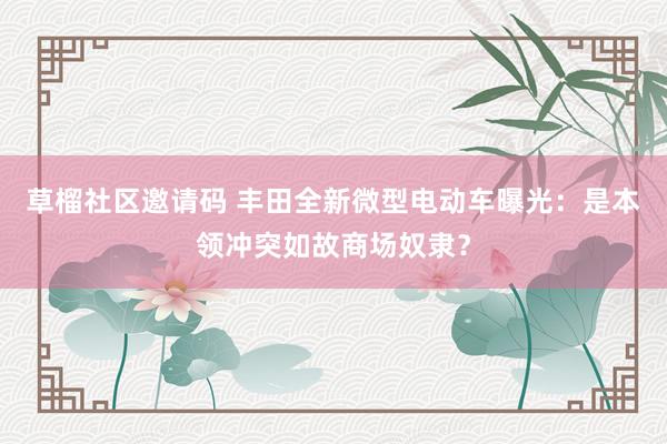 草榴社区邀请码 丰田全新微型电动车曝光：是本领冲突如故商场奴隶？