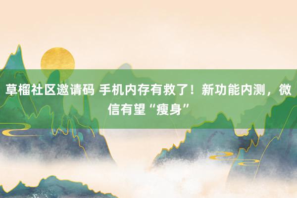 草榴社区邀请码 手机内存有救了！新功能内测，微信有望“瘦身”