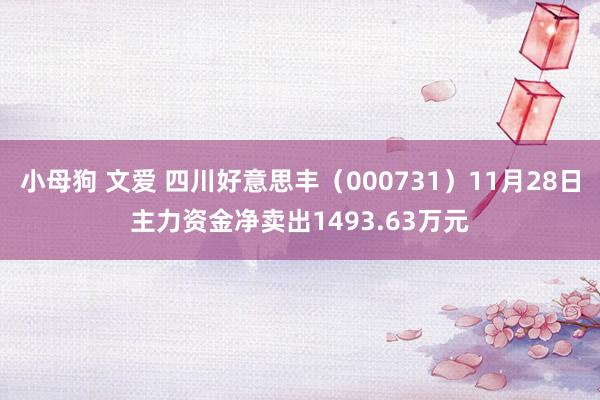 小母狗 文爱 四川好意思丰（000731）11月28日主力资金净卖出1493.63万元