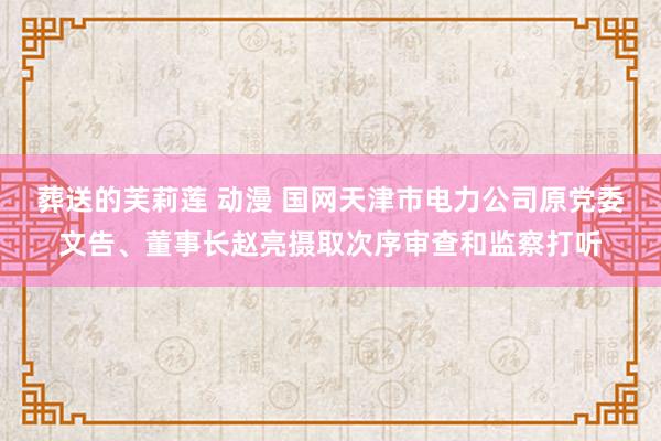 葬送的芙莉莲 动漫 国网天津市电力公司原党委文告、董事长赵亮摄取次序审查和监察打听