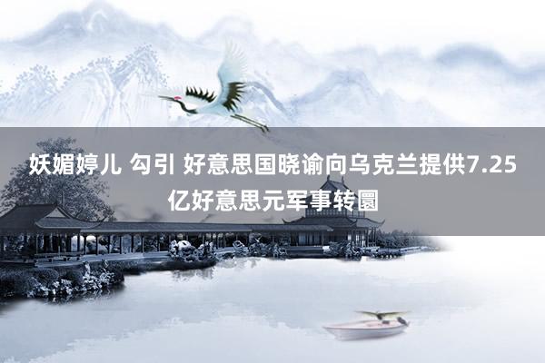 妖媚婷儿 勾引 好意思国晓谕向乌克兰提供7.25亿好意思元军事转圜