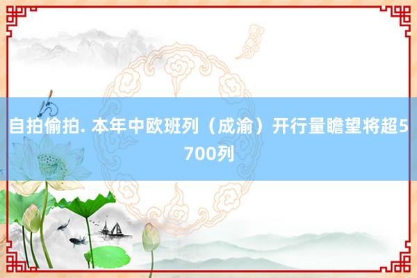 自拍偷拍. 本年中欧班列（成渝）开行量瞻望将超5700列