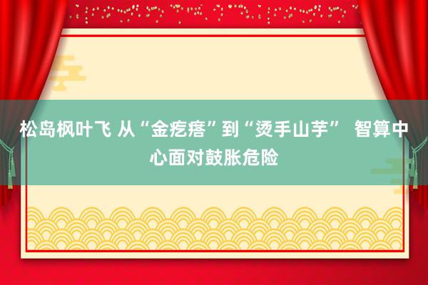 松岛枫叶飞 从“金疙瘩”到“烫手山芋”  智算中心面对鼓胀危险