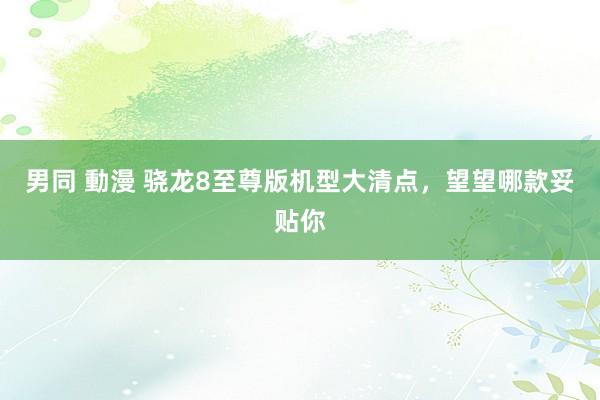 男同 動漫 骁龙8至尊版机型大清点，望望哪款妥贴你