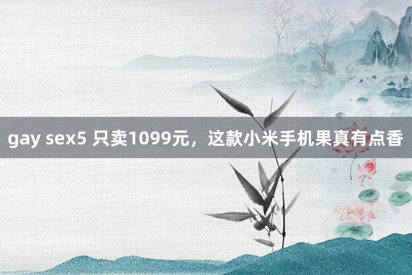 gay sex5 只卖1099元，这款小米手机果真有点香