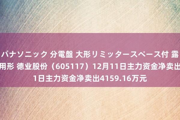 パナソニック 分電盤 大形リミッタースペース付 露出・半埋込両用形 德业股份（605117）12月11日主力资金净卖出4159.16万元