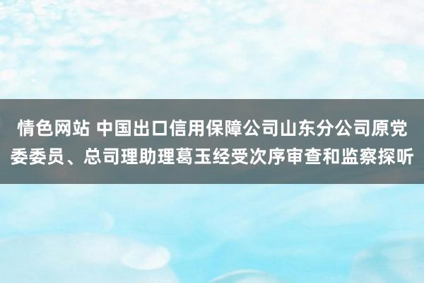 情色网站 中国出口信用保障公司山东分公司原党委委员、总司理助理葛玉经受次序审查和监察探听