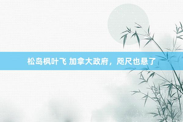 松岛枫叶飞 加拿大政府，咫尺也悬了