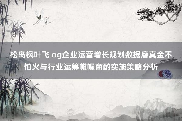 松岛枫叶飞 og企业运营增长规划数据磨真金不怕火与行业运筹帷幄商酌实施策略分析
