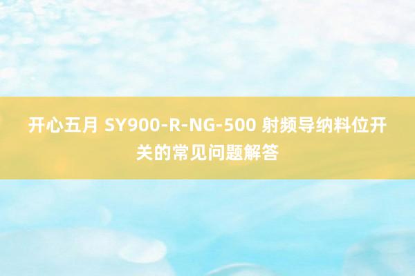 开心五月 SY900-R-NG-500 射频导纳料位开关的常见问题解答