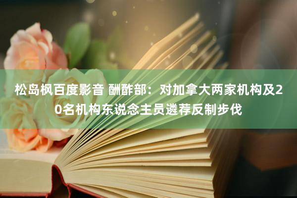 松岛枫百度影音 酬酢部：对加拿大两家机构及20名机构东说念主员遴荐反制步伐