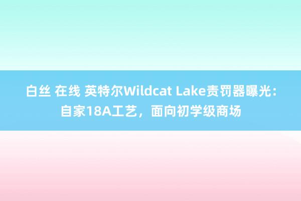白丝 在线 英特尔Wildcat Lake责罚器曝光：自家18A工艺，面向初学级商场