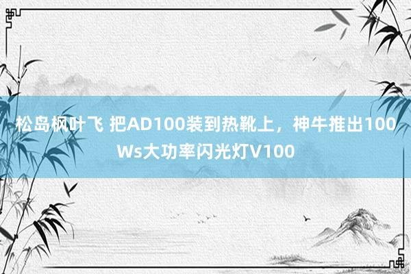 松岛枫叶飞 把AD100装到热靴上，神牛推出100Ws大功率闪光灯V100