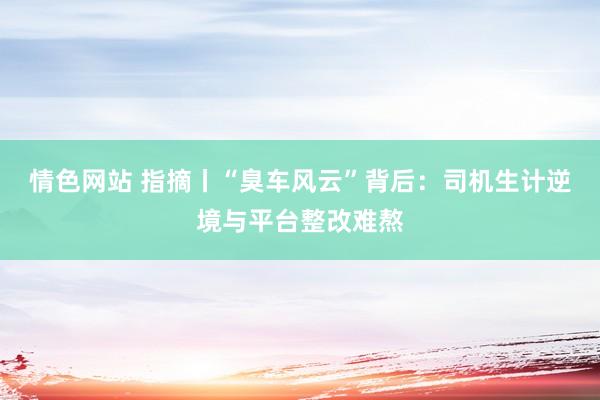 情色网站 指摘丨“臭车风云”背后：司机生计逆境与平台整改难熬