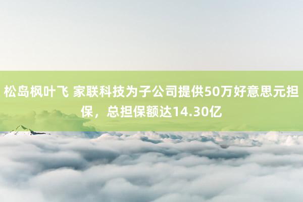松岛枫叶飞 家联科技为子公司提供50万好意思元担保，总担保额达14.30亿