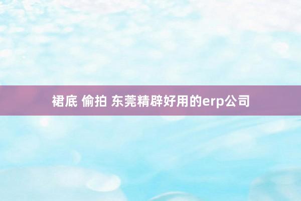 裙底 偷拍 东莞精辟好用的erp公司