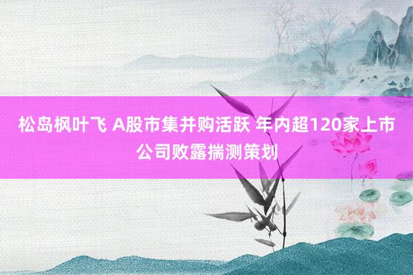 松岛枫叶飞 A股市集并购活跃 年内超120家上市公司败露揣测策划