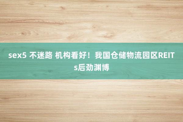 sex5 不迷路 机构看好！我国仓储物流园区REITs后劲渊博
