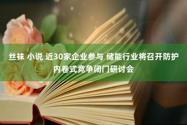 丝袜 小说 近30家企业参与 储能行业将召开防护内卷式竞争闭门研讨会
