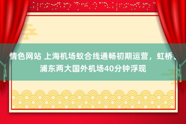 情色网站 上海机场蚁合线通畅初期运营，虹桥、浦东两大国外机场40分钟浮现