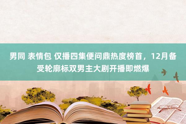男同 表情包 仅播四集便问鼎热度榜首，12月备受轮廓标双男主大剧开播即燃爆