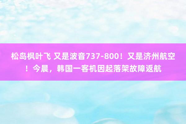松岛枫叶飞 又是波音737-800!又是济州航空!今晨,韩国一客机因起落架故障返航