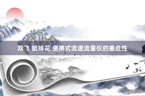 双飞 姐妹花 便携式流速流量仪的垂危性