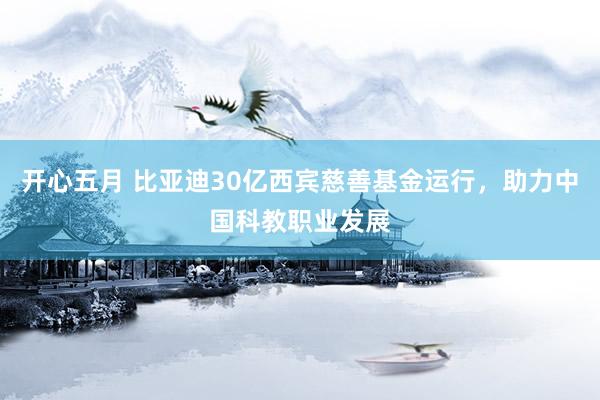 开心五月 比亚迪30亿西宾慈善基金运行，助力中国科教职业发展
