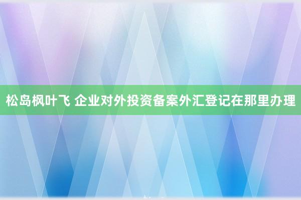 松岛枫叶飞 企业对外投资备案外汇登记在那里办理