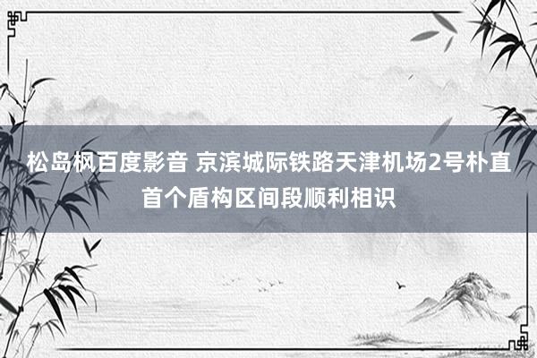 松岛枫百度影音 京滨城际铁路天津机场2号朴直首个盾构区间段顺利相识