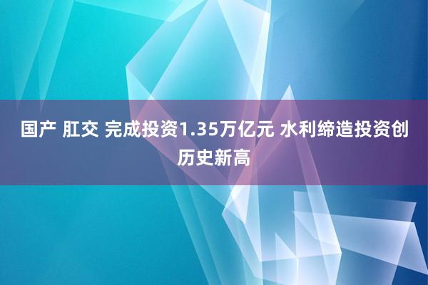 国产 肛交 完成投资1.35万亿元 水利缔造投资创历史新高