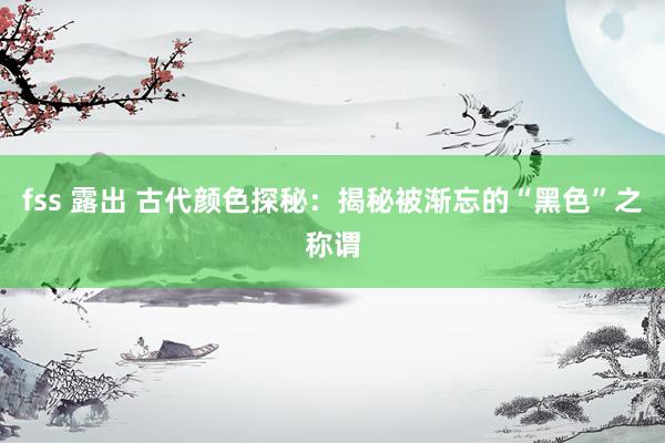 fss 露出 古代颜色探秘：揭秘被渐忘的“黑色”之称谓