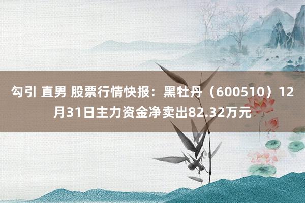 勾引 直男 股票行情快报：黑牡丹（600510）12月31日主力资金净卖出82.32万元