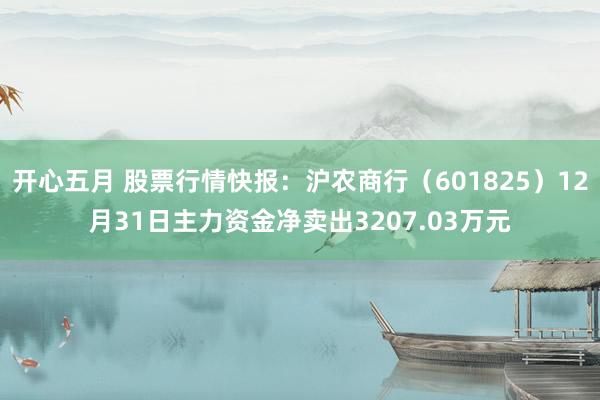 开心五月 股票行情快报：沪农商行（601825）12月31日主力资金净卖出3207.03万元