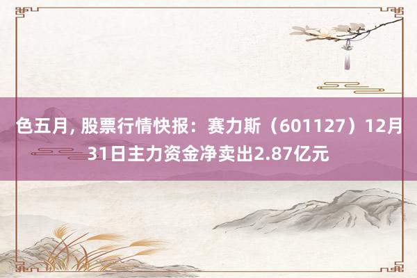 色五月， 股票行情快报：赛力斯（601127）12月31日主力资金净卖出2.87亿元