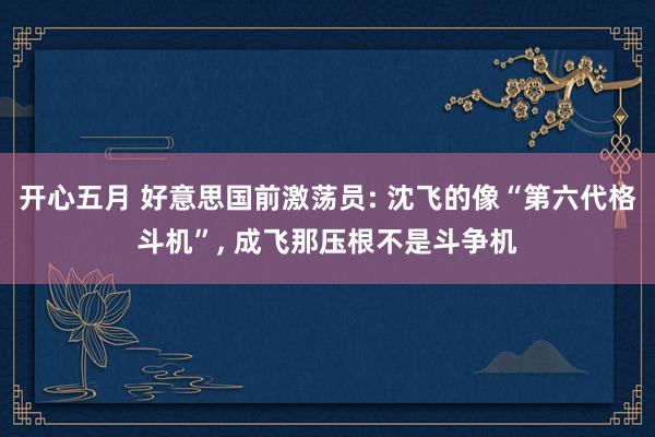 开心五月 好意思国前激荡员: 沈飞的像“第六代格斗机”， 成飞那压根不是斗争机