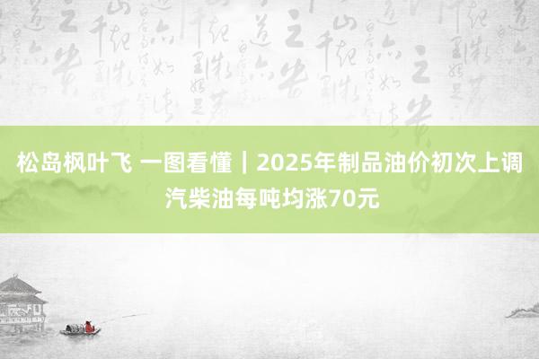 松岛枫叶飞 一图看懂｜2025年制品油价初次上调 汽柴油每吨均涨70元