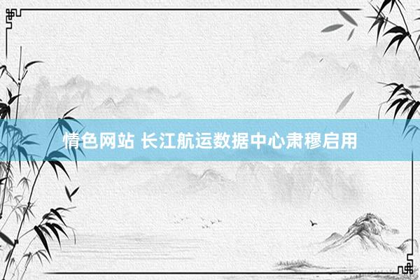 情色网站 长江航运数据中心肃穆启用