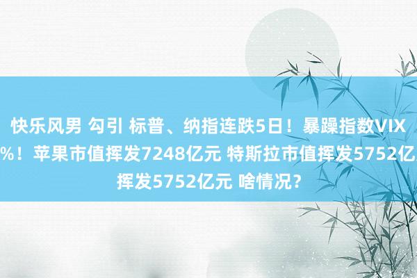 快乐风男 勾引 标普、纳指连跌5日！暴躁指数VIX一度涨超7%！苹果市值挥发7248亿元 特斯拉市值挥发5752亿元 啥情况？