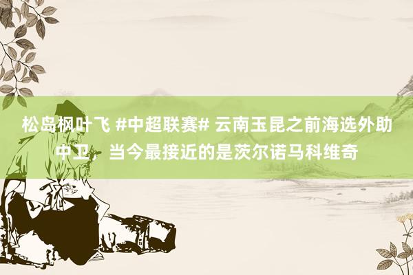 松岛枫叶飞 #中超联赛# 云南玉昆之前海选外助中卫，当今最接近的是茨尔诺马科维奇