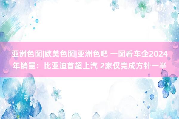 亚洲色图|欧美色图|亚洲色吧 一图看车企2024年销量：比亚迪首超上汽 2家仅完成方针一半