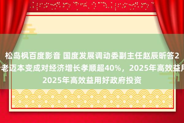 松岛枫百度影音 国度发展调动委副主任赵辰昕答21记者：近十老迈本变成对经济增长孝顺超40%，2025年高效益用好政府投资