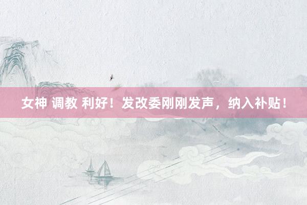 女神 调教 利好！发改委刚刚发声，纳入补贴！