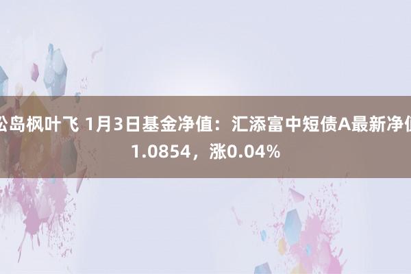 松岛枫叶飞 1月3日基金净值：汇添富中短债A最新净值1.0854，涨0.04%