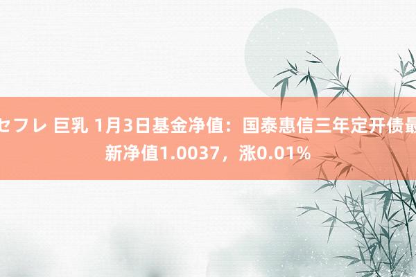 セフレ 巨乳 1月3日基金净值：国泰惠信三年定开债最新净值1.0037，涨0.01%