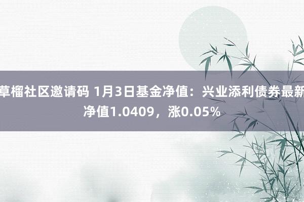草榴社区邀请码 1月3日基金净值：兴业添利债券最新净值1.0409，涨0.05%