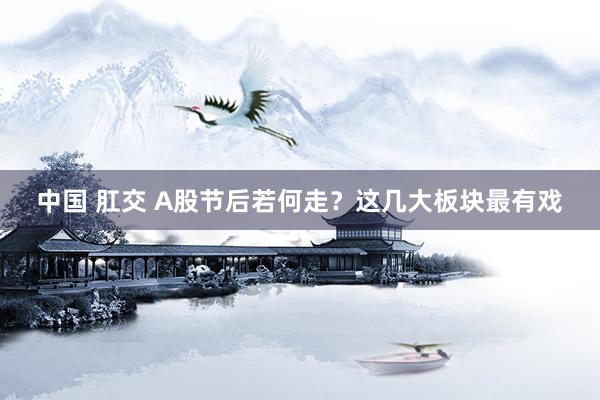 中国 肛交 A股节后若何走？这几大板块最有戏