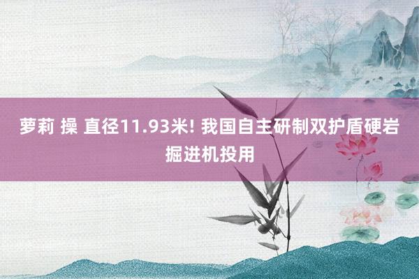 萝莉 操 直径11.93米! 我国自主研制双护盾硬岩掘进机投用